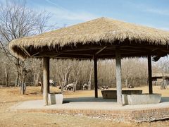 -济南野生动物世界