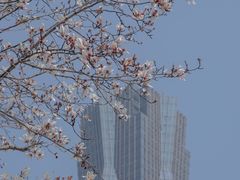 -西湖文化广场
