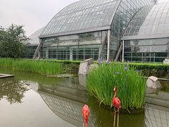 -南山植物园