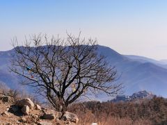 -妙峰山风景名胜区