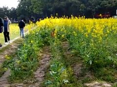 -韶山毛泽东同志故居