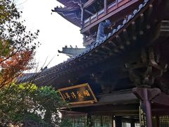 -杭州半山国家森林公园