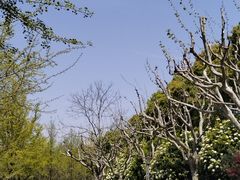 -黄兴公园