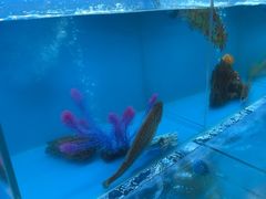 -怡咖啡·自助餐·西安香格里拉