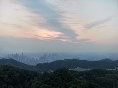 -大金鹰园