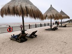 -北海金海湾红树林生态旅游区