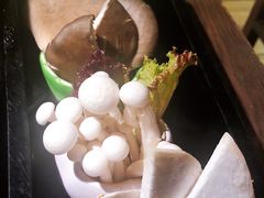菌菇拼盘-九鼎轩脆毛肚火锅(三钢里店)