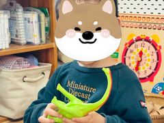 -世纪飞马幼儿园(西城校区)