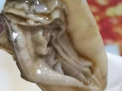 台山生蚝-荔林食店(西华路店)