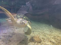 -鸿通城购物中心