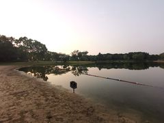 -上海佘山世茂艾美酒店