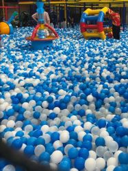 -爱丽丝奇幻乐园