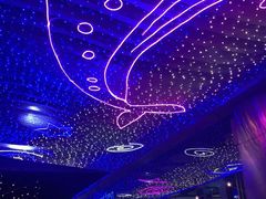 -element(皇庭店)