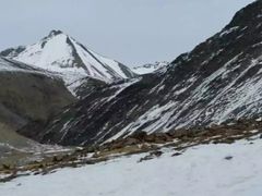 -祁连山·岗什卡雪峰景区