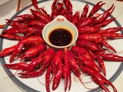 清蒸小龙虾-杨氏青龙虾·羊蝎子(托乐嘉店)