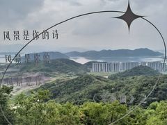 -黄贤森林公园