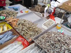 -重振华中蔬菜批发市场(重庆中路店)