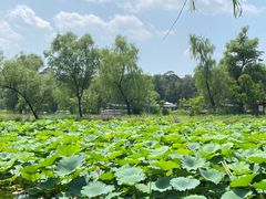 -承德避暑山庄景区