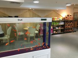 -芳妮豆丁家庭影像馆(宝安店)