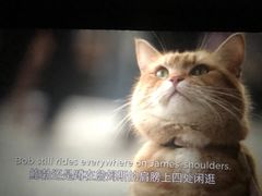 -常州大剧院保利影城