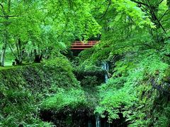 -三千院
