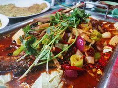 -重庆火锅水库鱼庄(南油店)