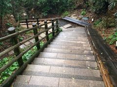 -南紀白浜 浜千鳥の湯 海舟