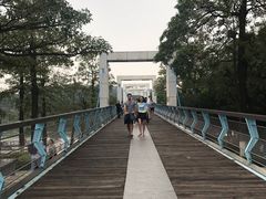 -东莞植物园