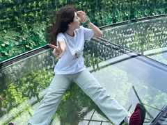 -黄海国家森林公园