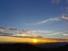 -长虫山生态公园风景林