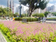 -陈家祠堂-游客中心