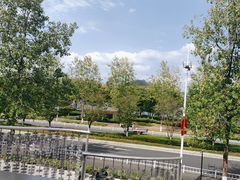 -宝荣鱼馆·临湖之宴(千岛湖店)