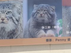 -青藏高原野生动物园
