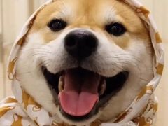 -蜜雪冰城(桂林胡同店)