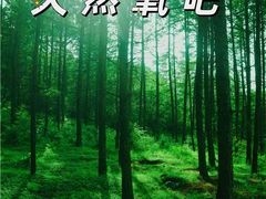 -百里天路