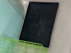 -佳雯宠物医院·皮肤科·内外科(春晓路分院)