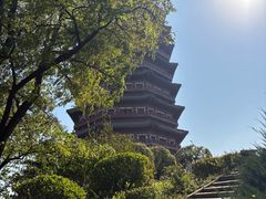 -永定河休闲森林公园