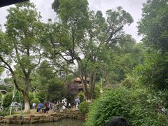 -岳麓山风景名胜区