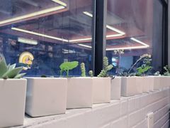 -王红军龙虾(新民路店)