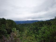 -梭布垭石林景区