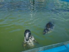 -北戴河圣蓝海洋公园