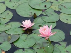 -白鹭湾湿地公园