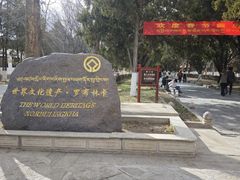 -罗布林卡