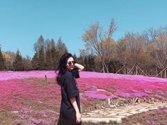 -棒棰岛宾馆景区
