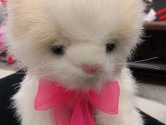 -TOYSRUS玩具反斗城(郑州熙地港店)