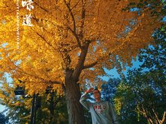 -晋祠公园