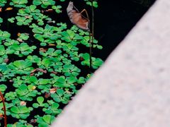 -厦门园林博览苑