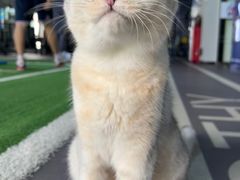 -AK健身普拉提拉伸私教馆(中八店)