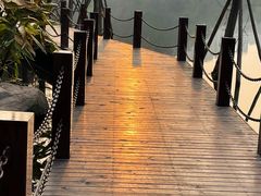 -重庆彩云湖湿地公园