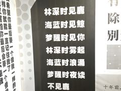 -成都失恋馆
